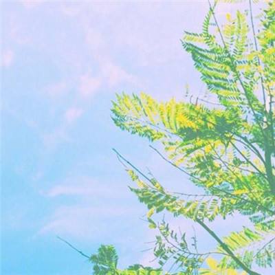 赤月龙城满v变态版下载
