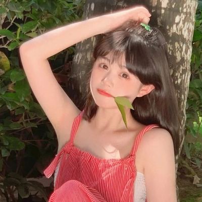 舰娘bt版下载
